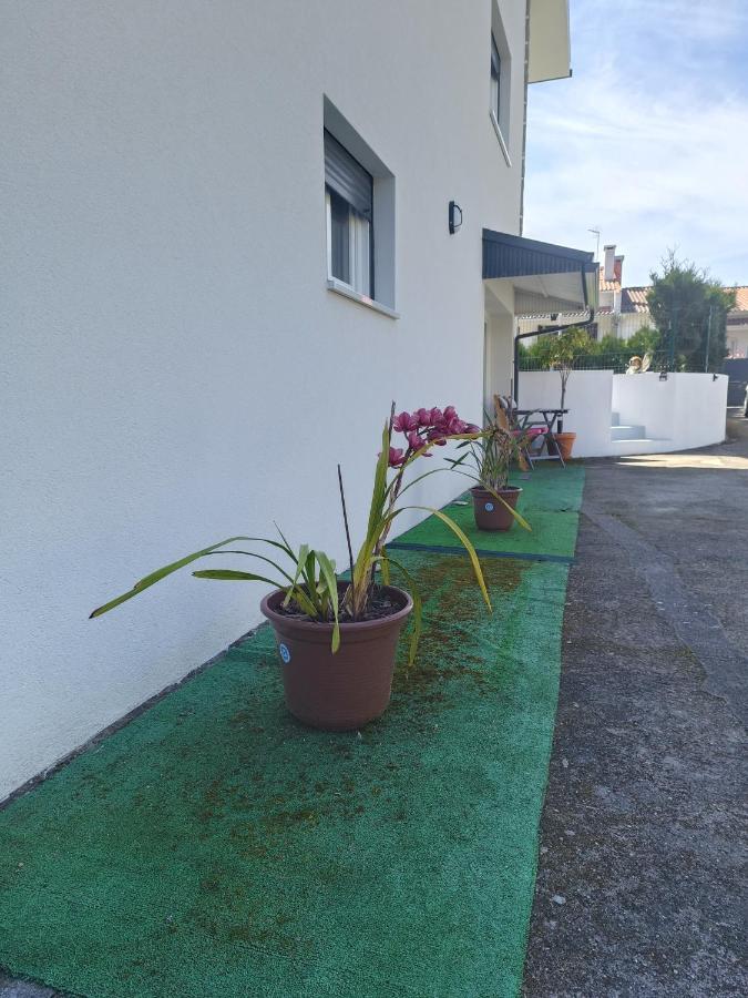 Cabedelo Seaside Guesthouse Viana do Castelo Ngoại thất bức ảnh